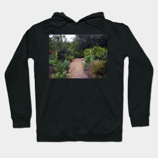 Secret Fairy Pathway Hoodie